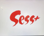 Sess Plus Mudanya