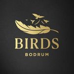 Birds Bodrum